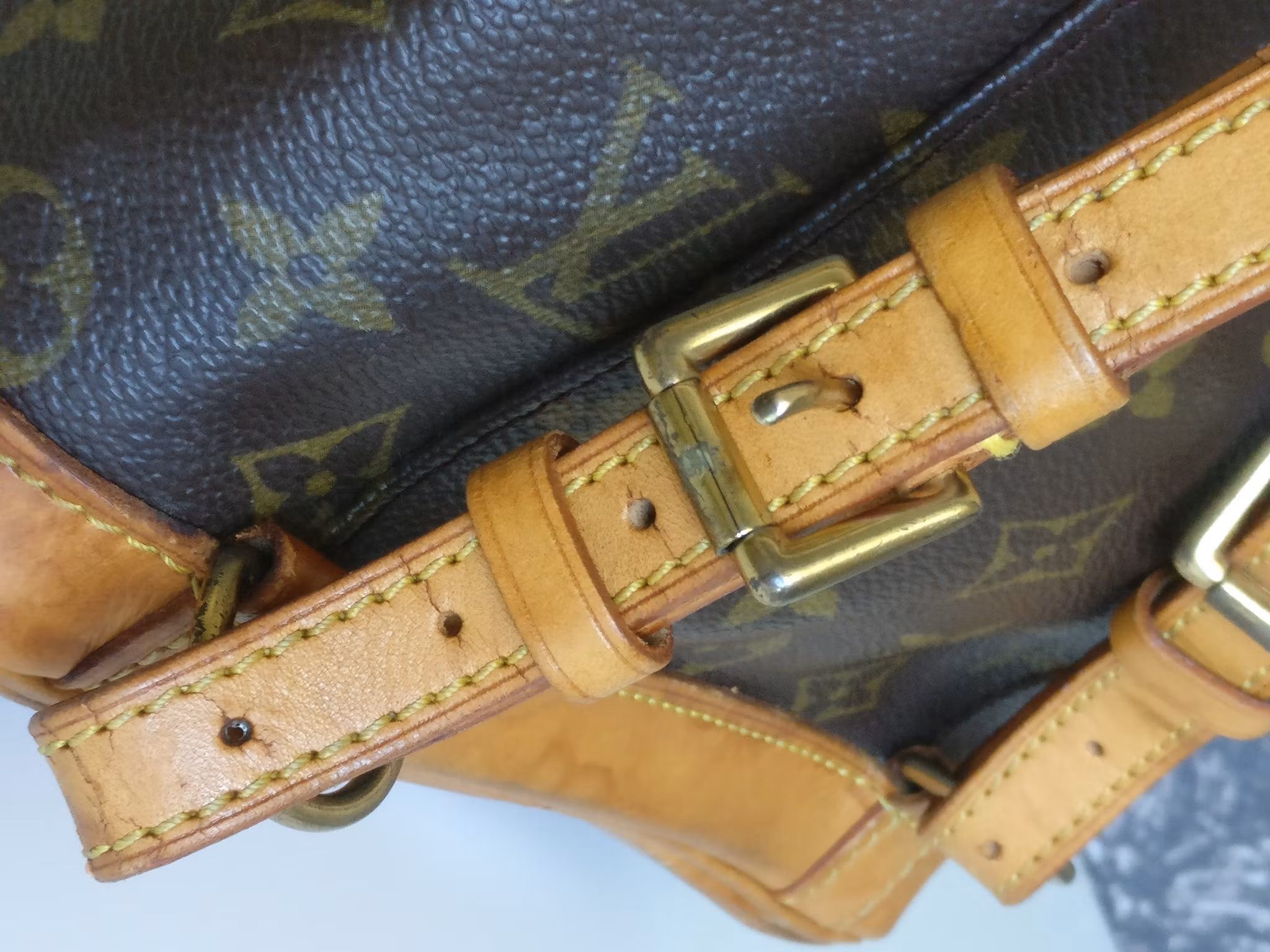 Louis Vuitton Montsouris PM backpack