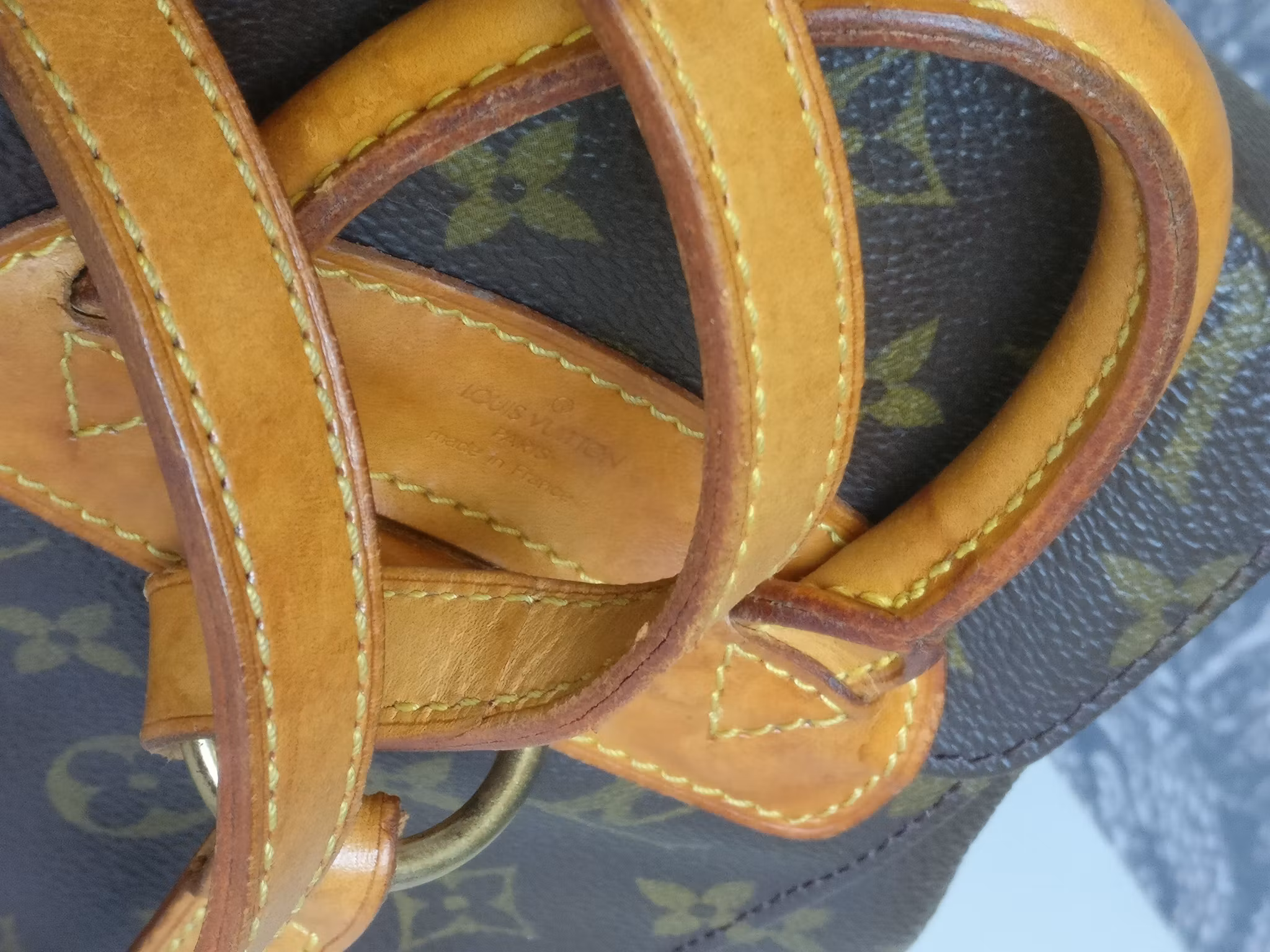 Louis Vuitton Montsouris PM backpack