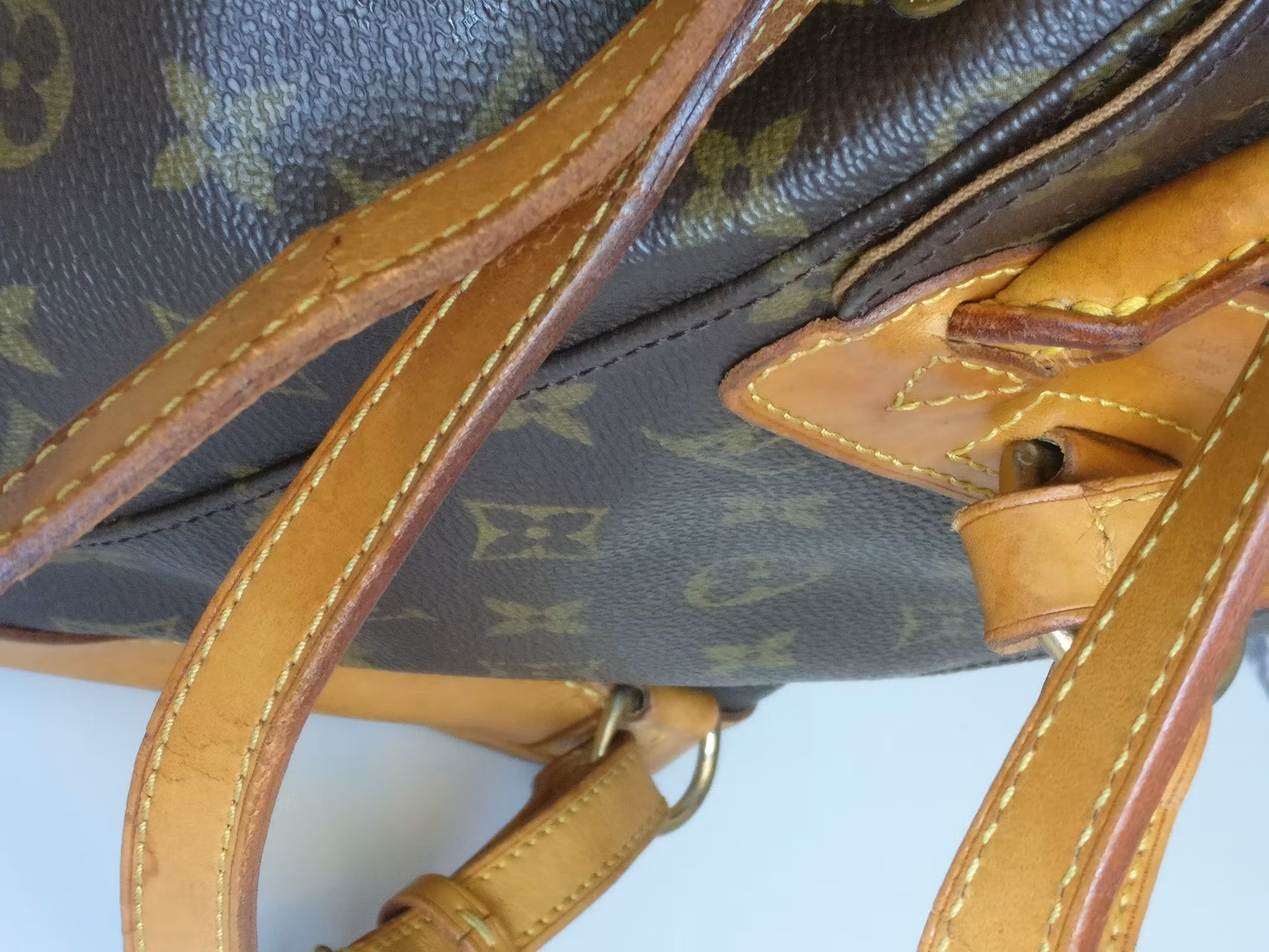 Louis Vuitton Montsouris PM backpack