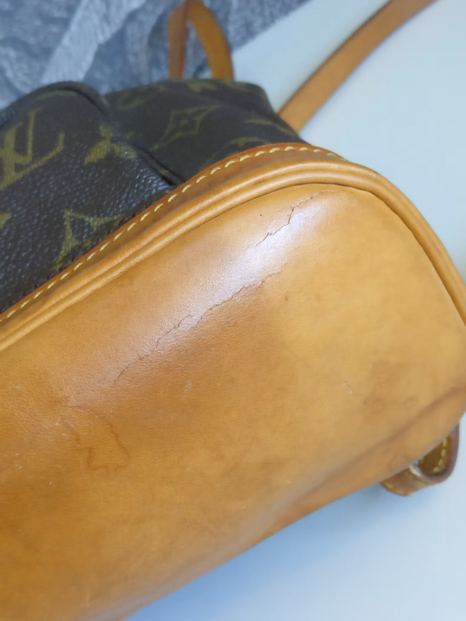 Louis Vuitton Montsouris PM backpack