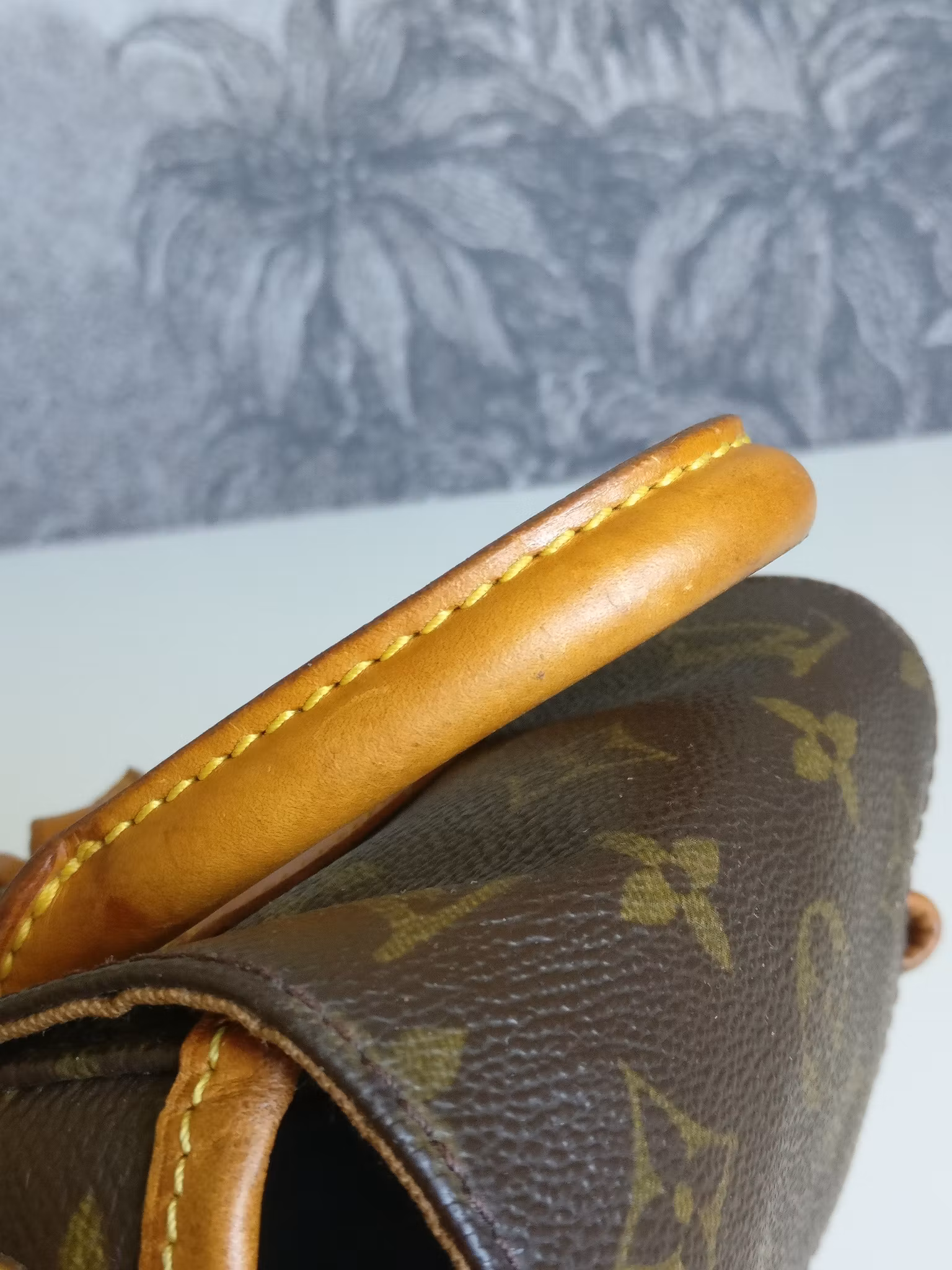 Louis Vuitton Montsouris PM backpack