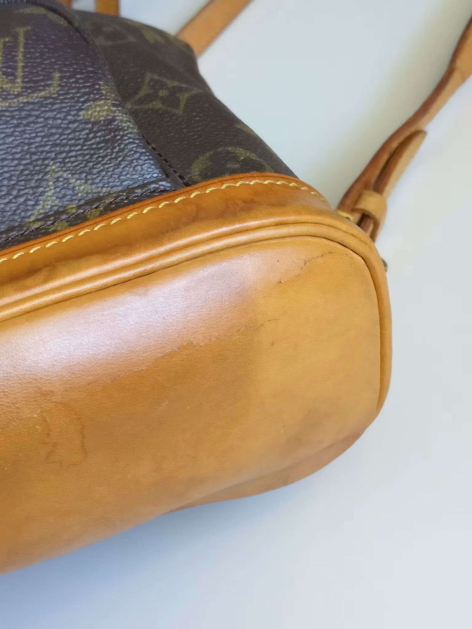 Louis Vuitton Montsouris PM backpack
