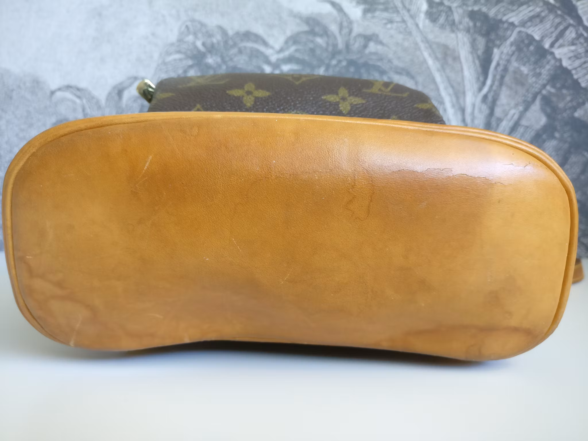 Louis Vuitton Montsouris PM backpack