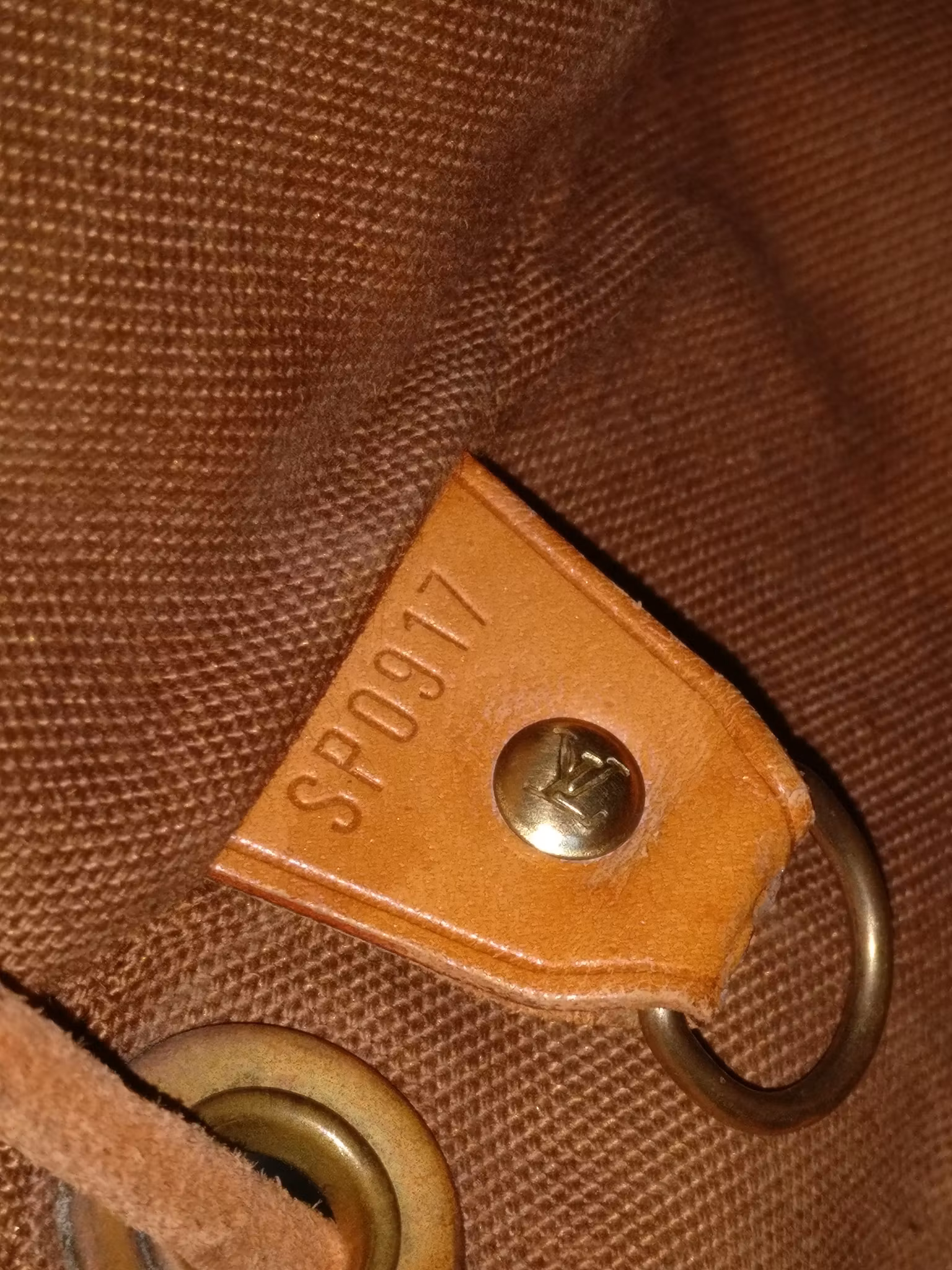 Louis Vuitton Montsouris PM backpack