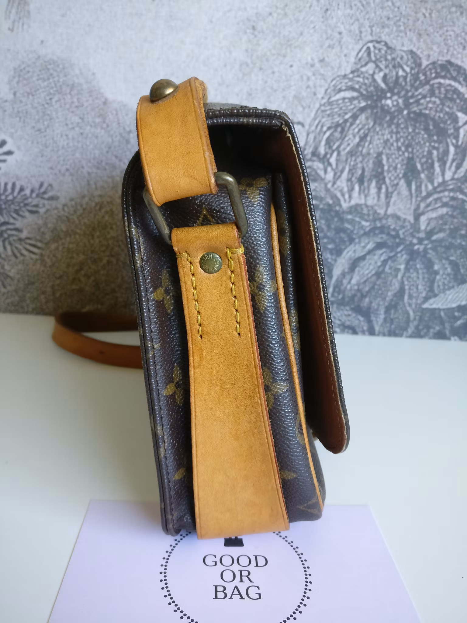 Louis Vuitton Cartouchiere MM