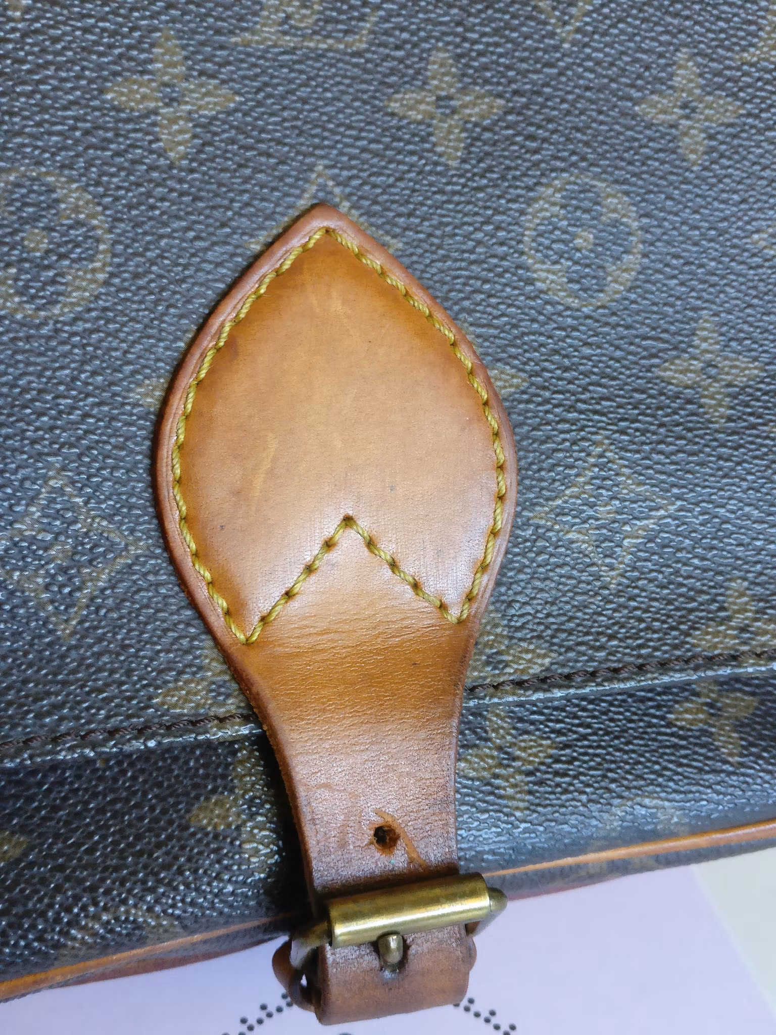 Louis Vuitton Cartouchiere MM