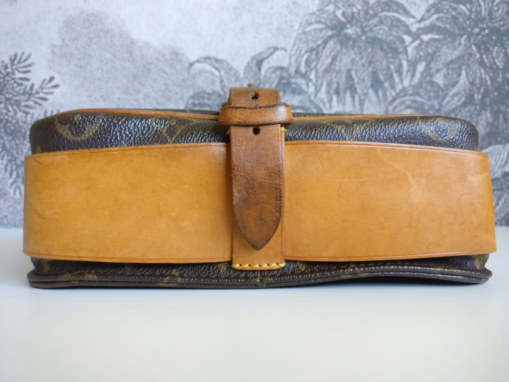 Louis Vuitton Cartouchiere MM