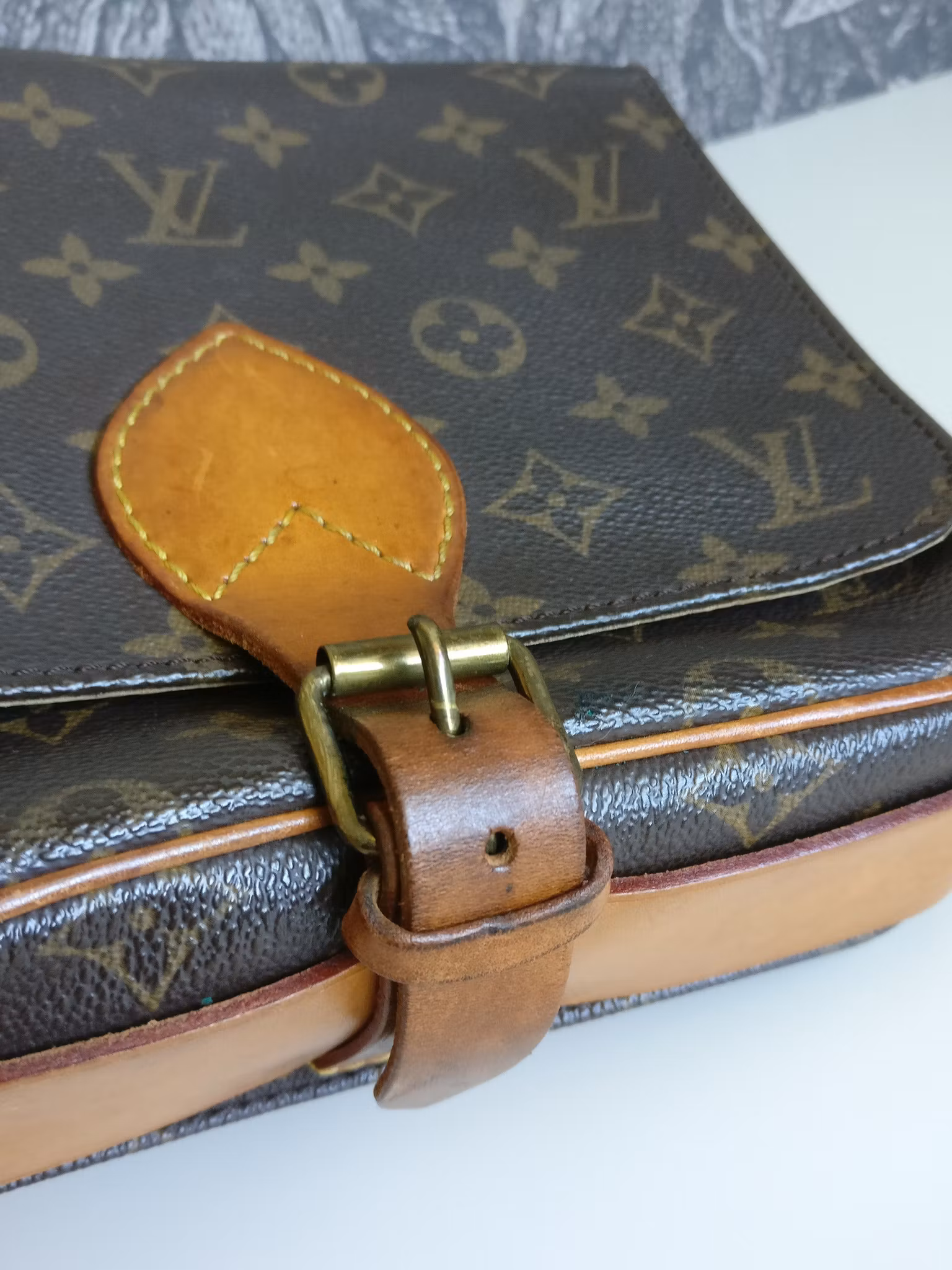 Louis Vuitton Cartouchiere MM