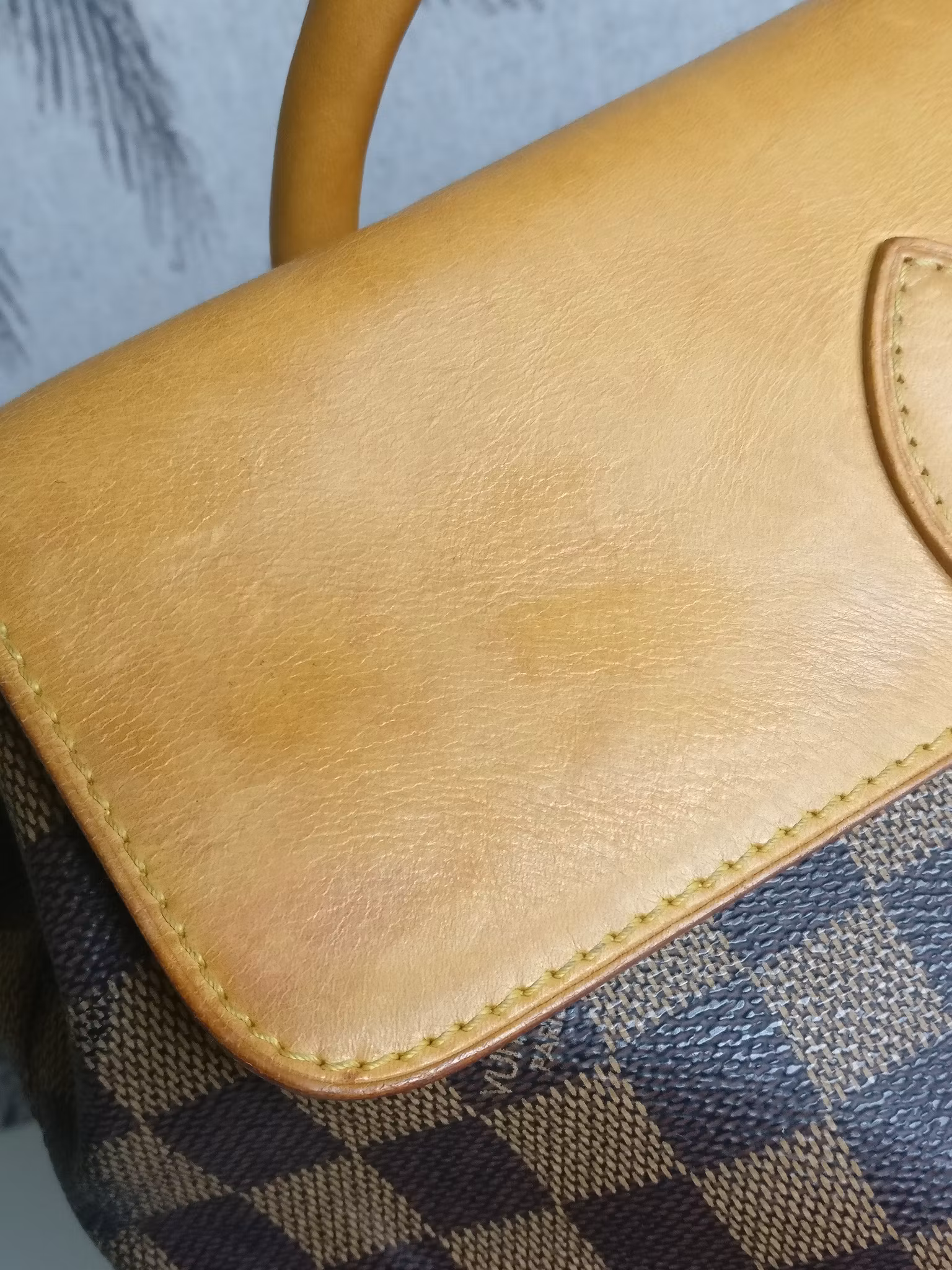 Louis Vuitton Soho Centenaire backpack limited edition
