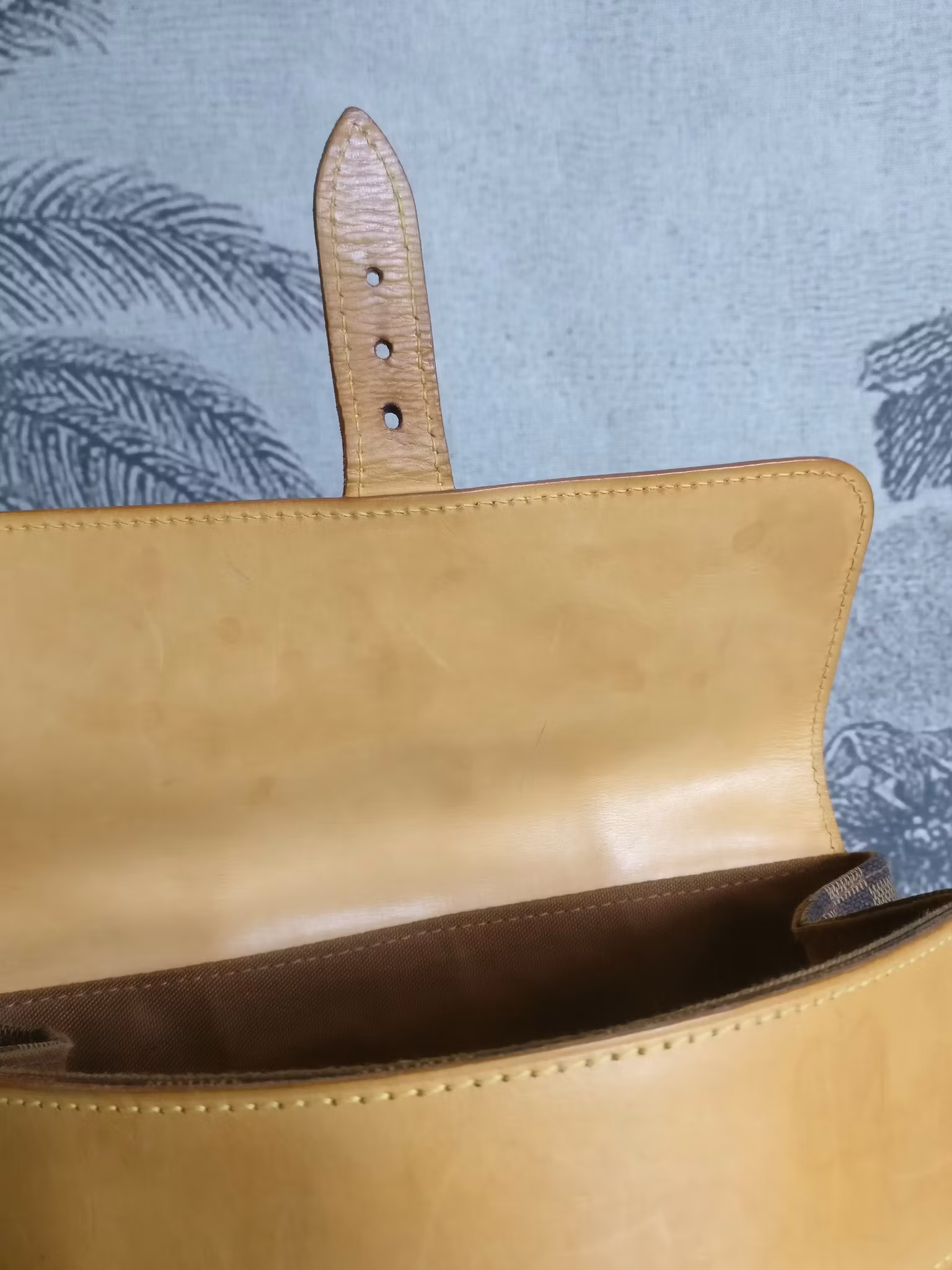Louis Vuitton Soho Centenaire backpack limited edition