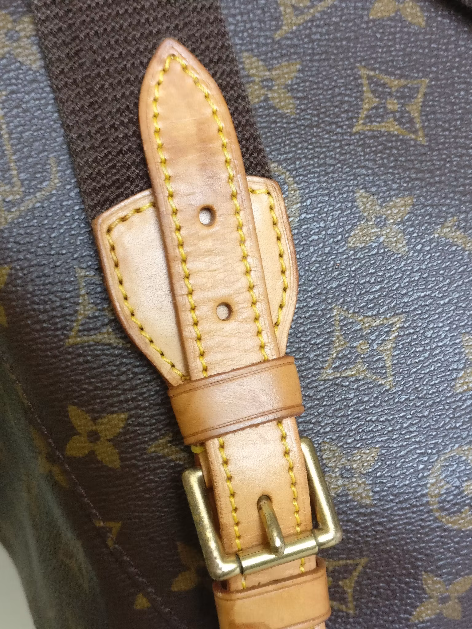 Louis Vuitton Montsouris GM