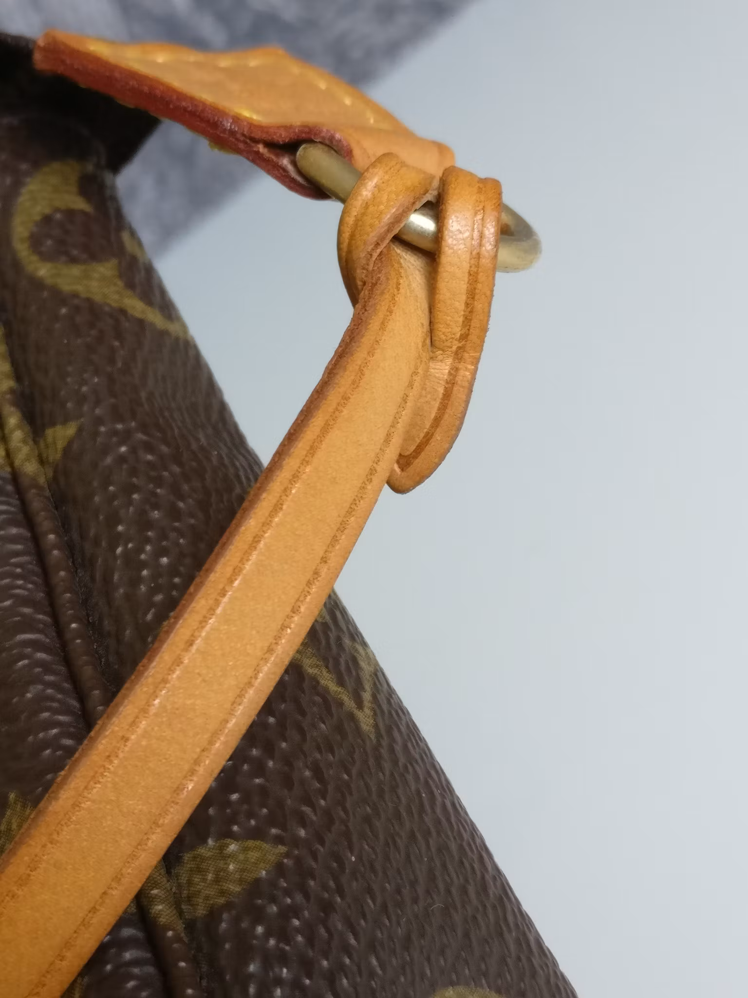 Louis Vuitton Pochette Accessoires