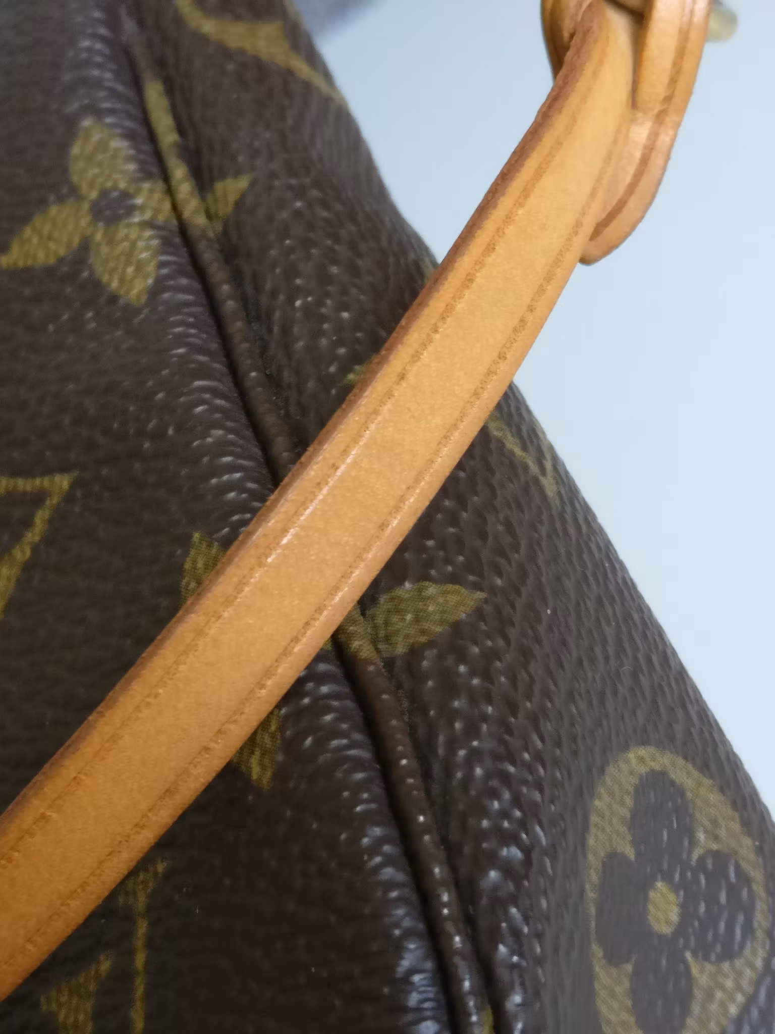 Louis Vuitton Pochette Accessoires
