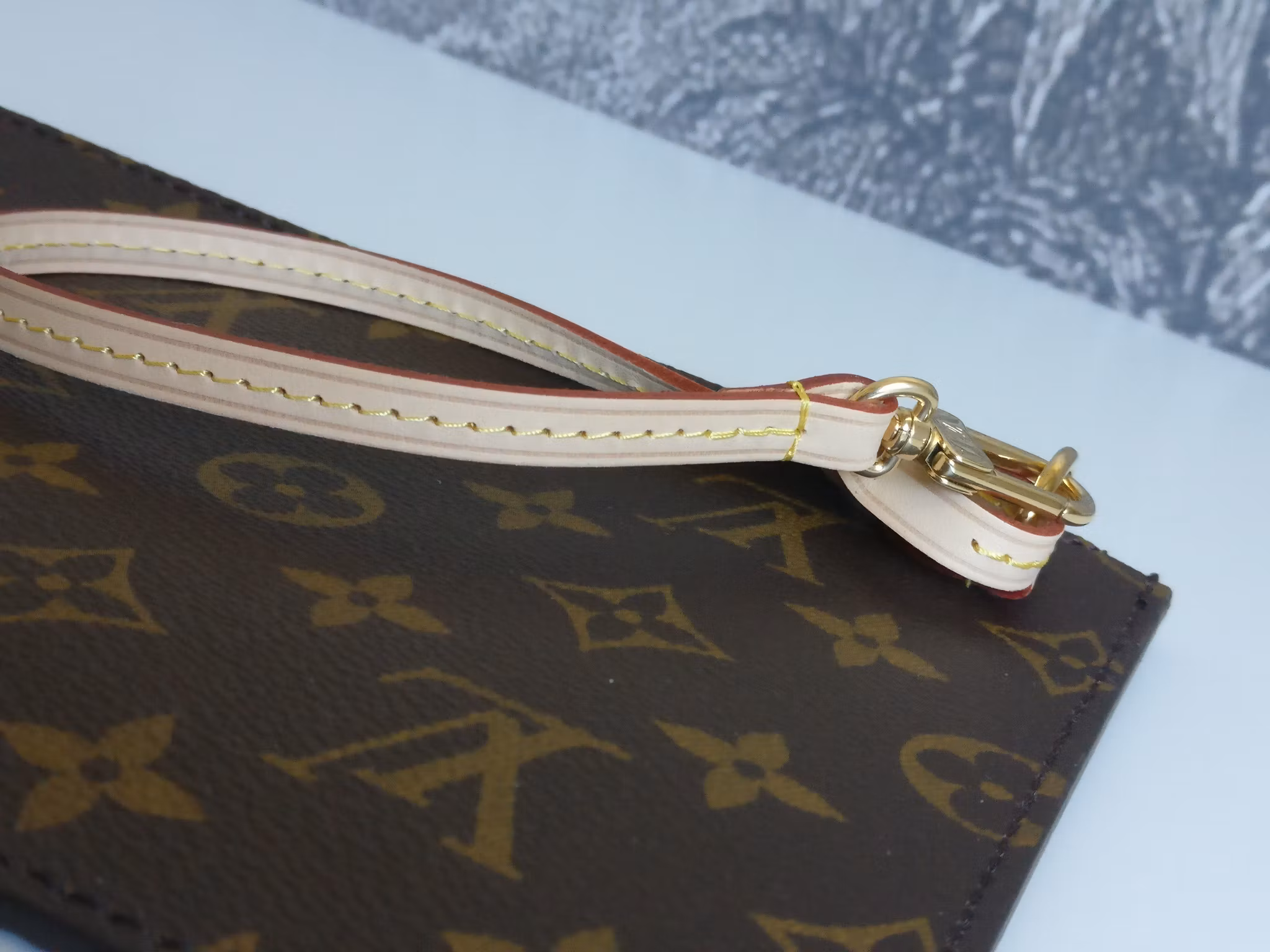 Louis Vuitton Neverfull MM pouch