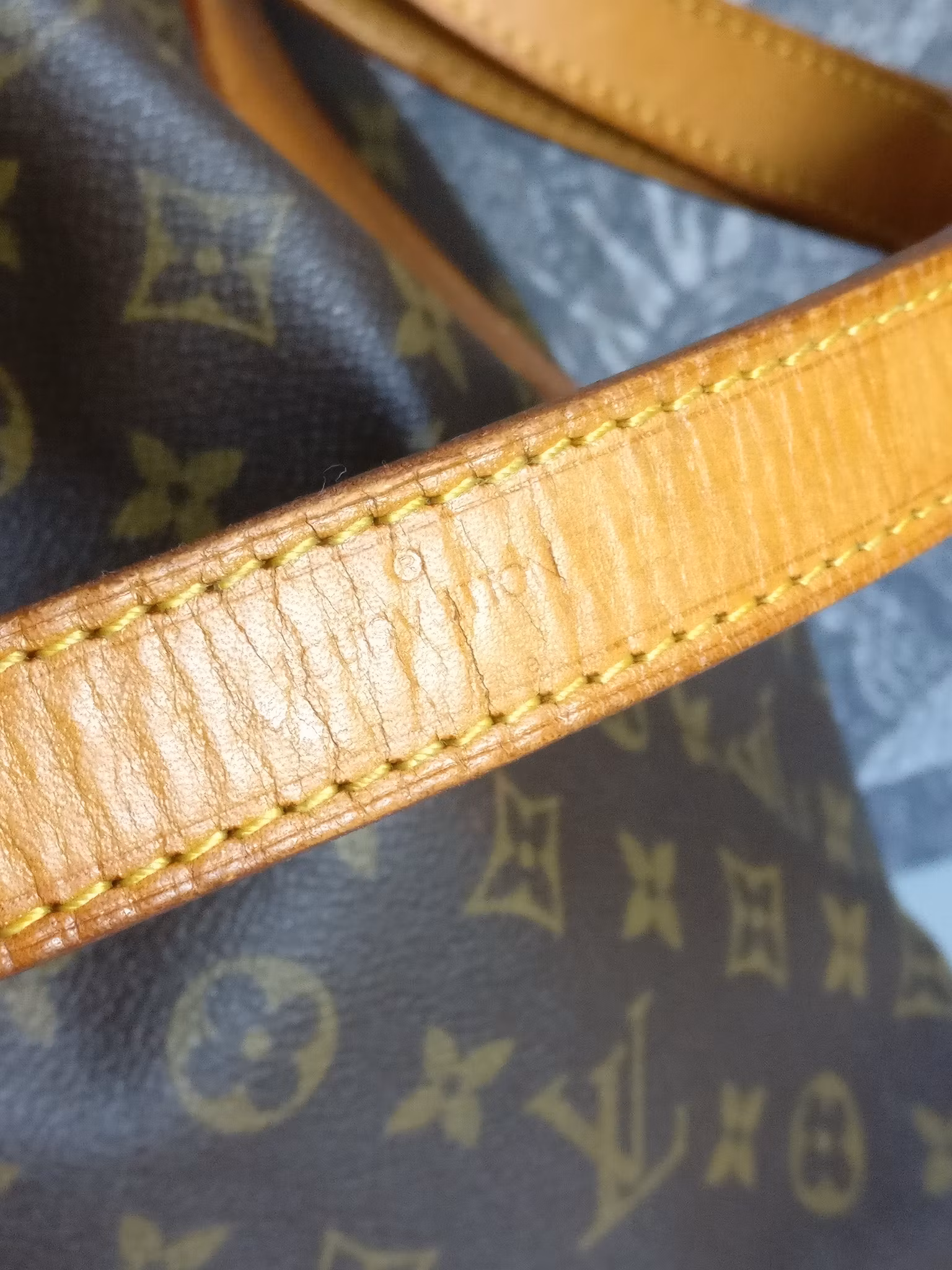 Louis Vuitton Noé GM