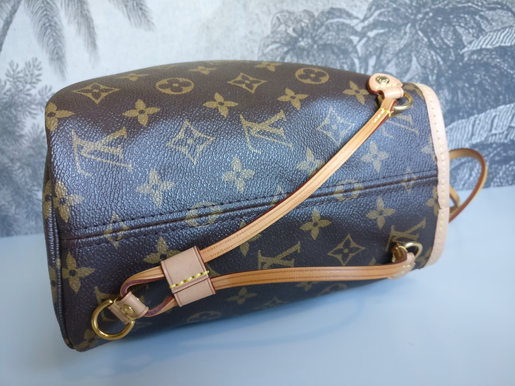 Louis Vuitton Neverfull PM