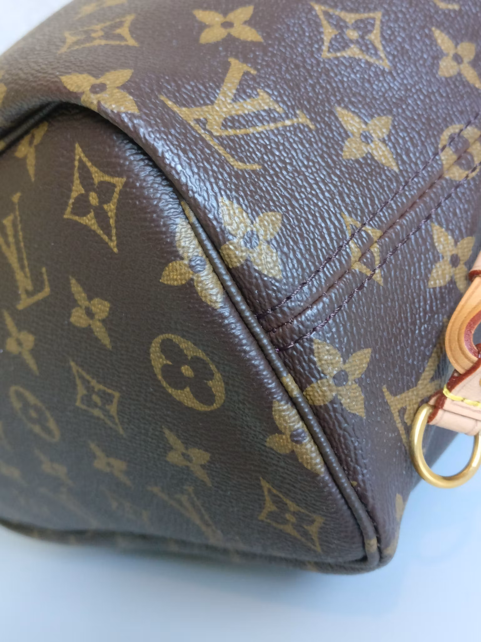 Louis Vuitton Neverfull PM