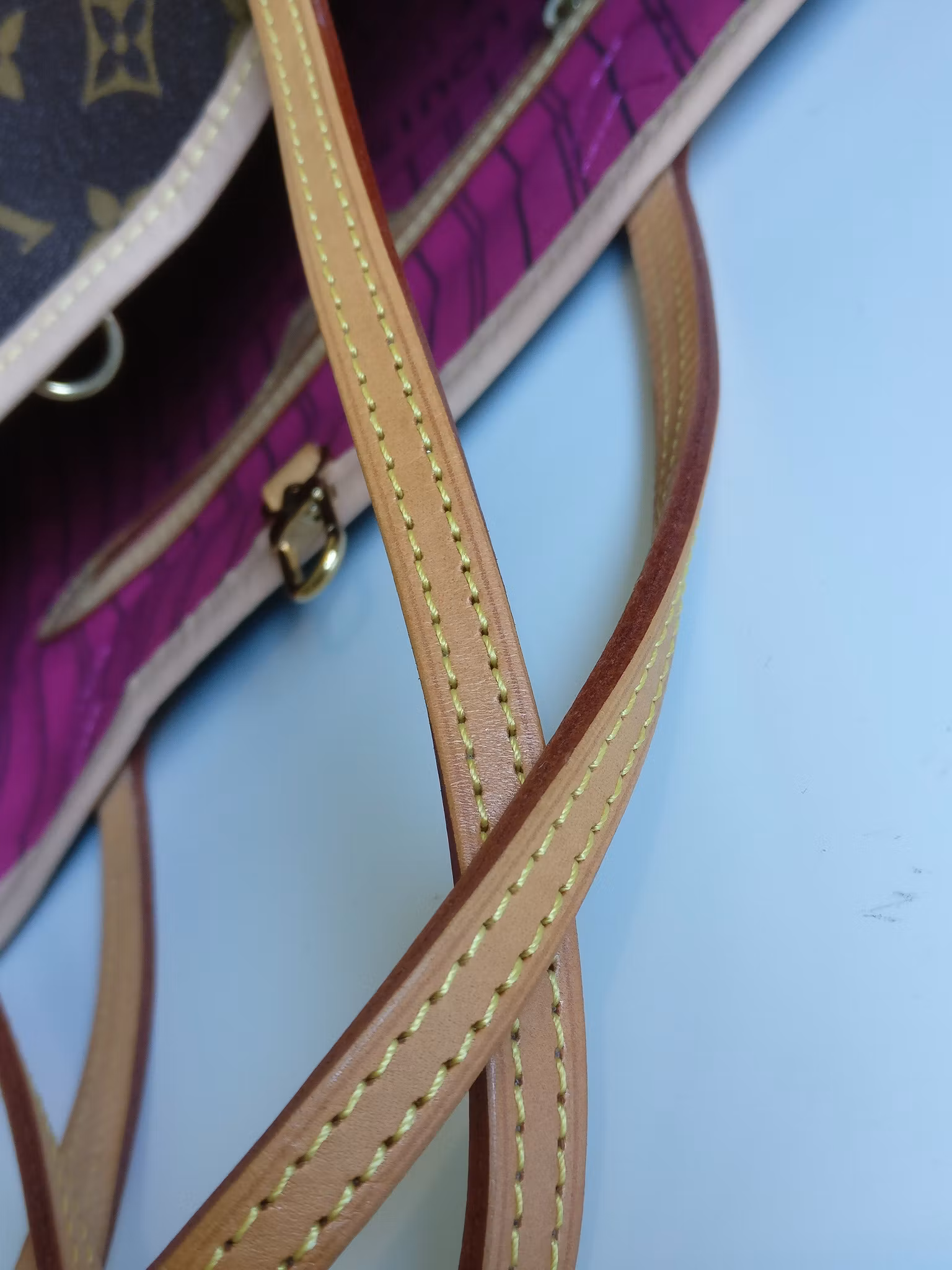 Louis Vuitton Neverfull PM