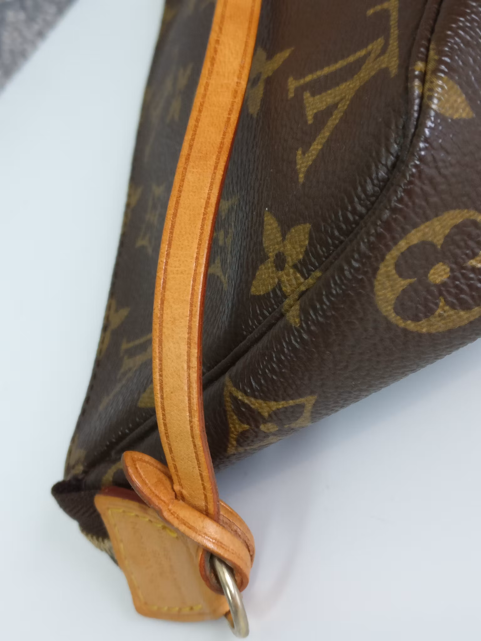 Louis Vuitton Pochette Accessoires