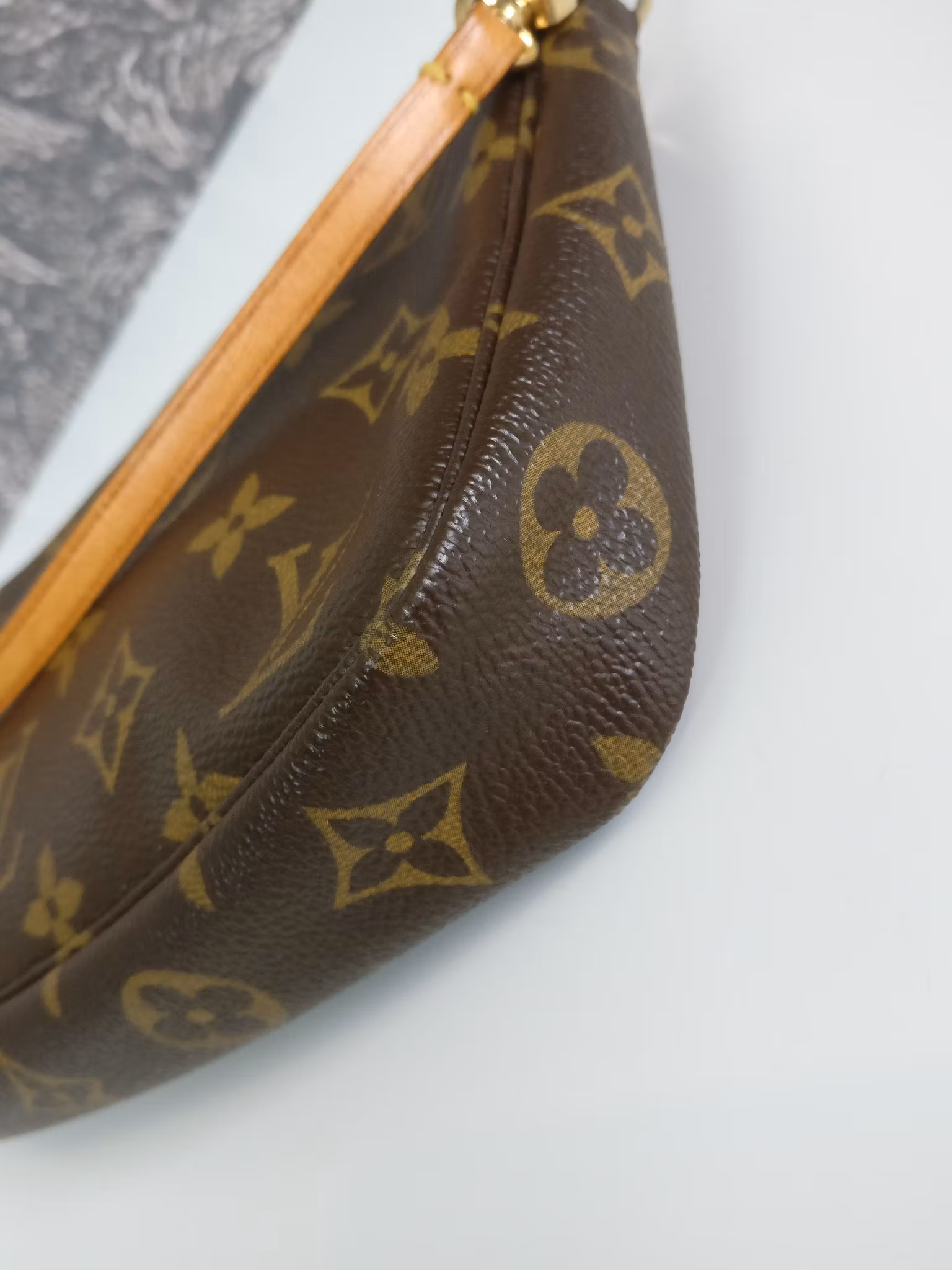 Louis Vuitton Pochette Accessoires