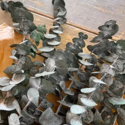 Eucalyptus grön 100gr