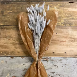 Lagurus Rabbit tail Grå 80gr