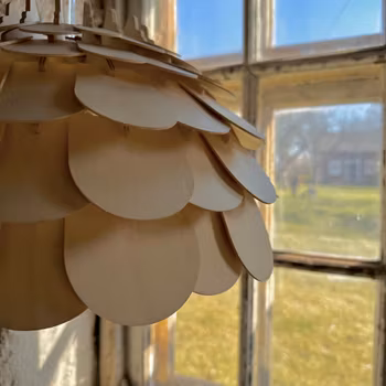 Taklampa Näckrosen Natur