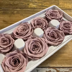 Rosor Gammelrosa 8-pack