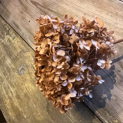 Hortensia Ljus koppar 1-pack