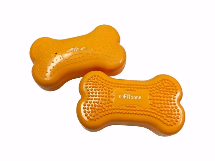 FITBone Mini 2-pack, Mango