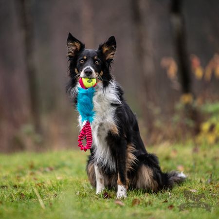 Elastisk fickkampis fuskpäls med KONG Air pipboll