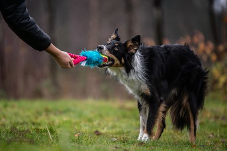 Elastisk fickkampis fuskpäls med KONG Air pipboll