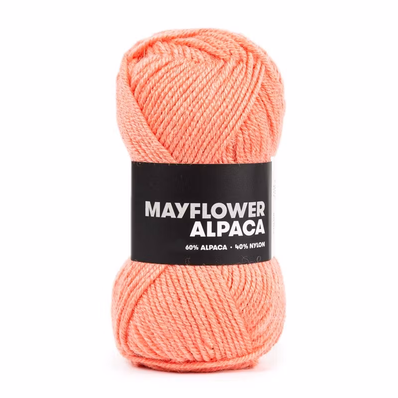 Baby Alpacka