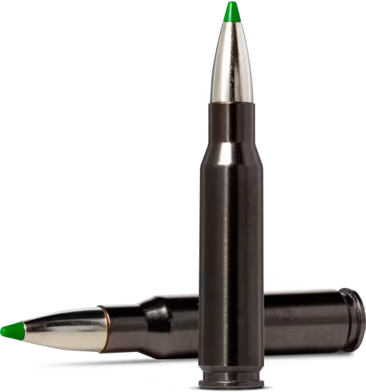 Norma Ecostrike Silencer 30-06