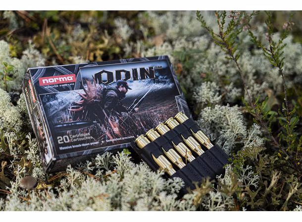 Norma ODIN .308 10,5 gram