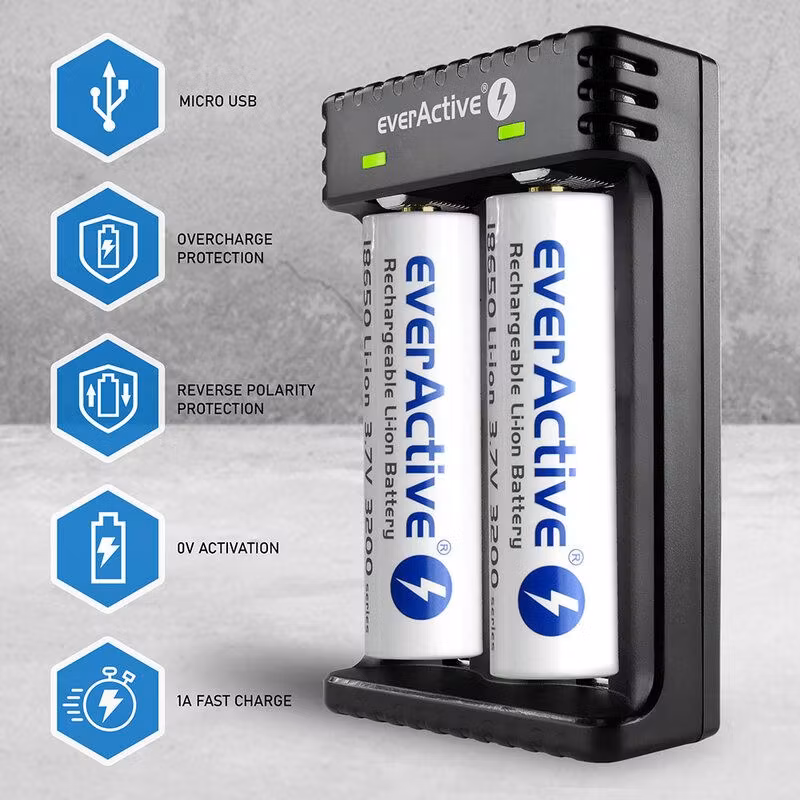 Laddare för Li-ion cylindriska batterier everActive LC-200