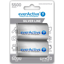 Uppladdningsbara batterier 2x everActive R20/D Ni-MH 5500 mAh