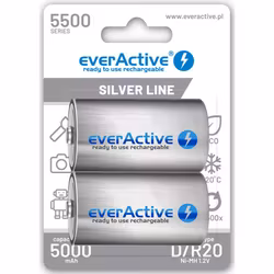 Uppladdningsbara batterier 2x everActive R20/D Ni-MH 5500 mAh