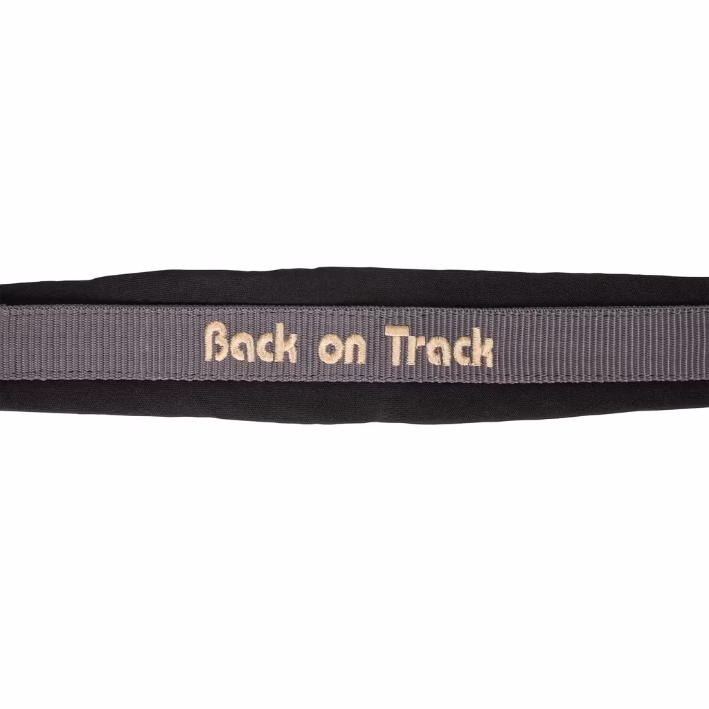 Back on Track Werano Grimma, Grå