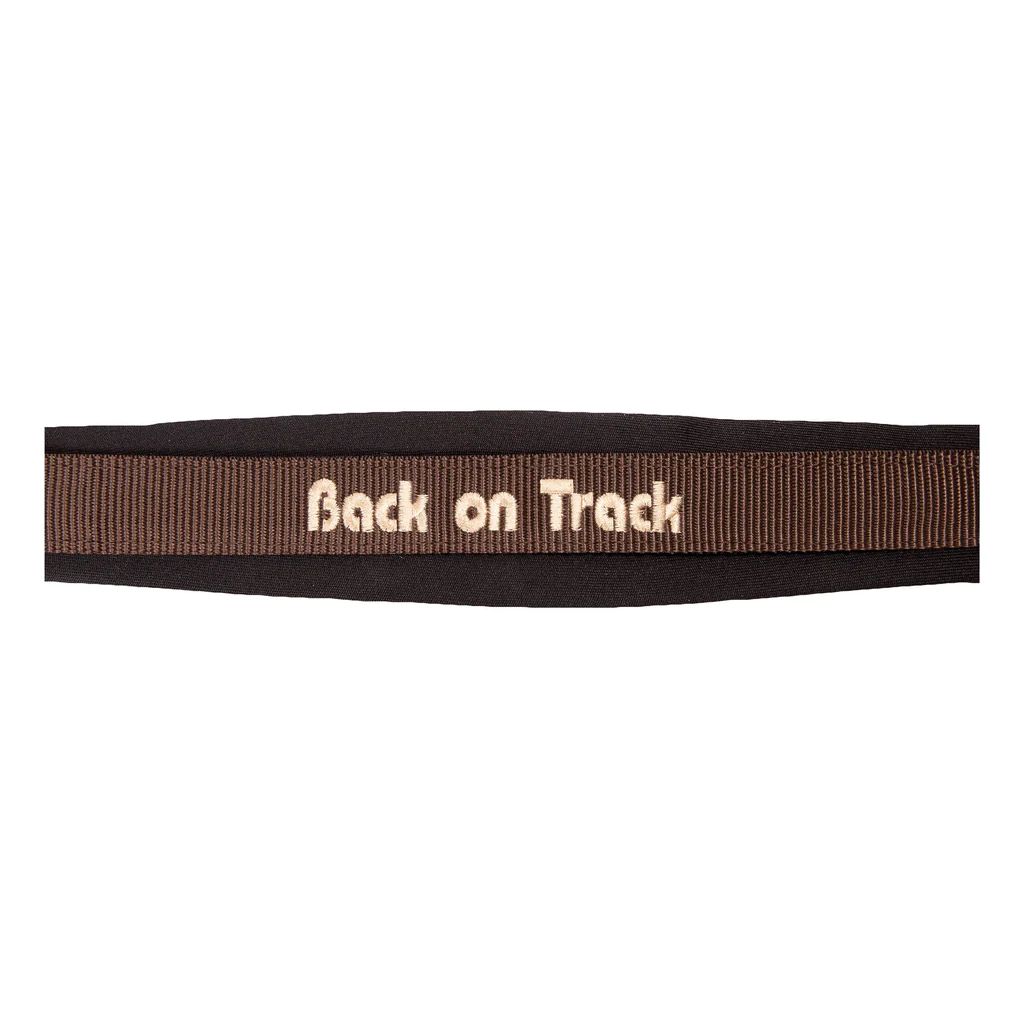 Back on Track Werano Grimma, Brun