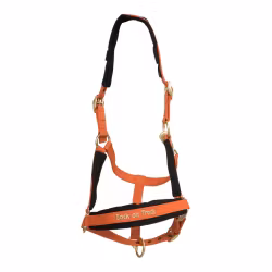 Back on Track Werano Grimma, Orange