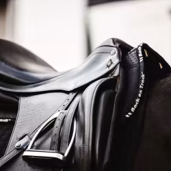 Back on Track Aurora Impact Sadelpadd