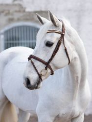 Jacson California Aachen Bridle, Brun