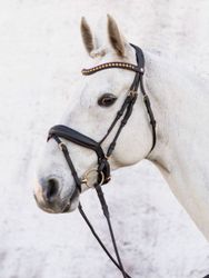 Jacson Cleveland Dressage Bridle Svart