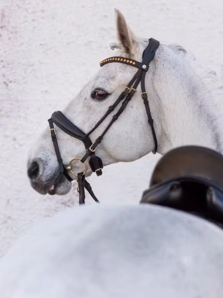Jacson Cleveland Dressage Bridle Svart