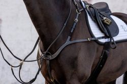 Jacson Corona Förbygel, Svart