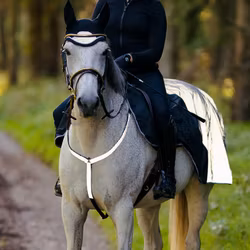 HANSBO SPORT Reflexbrösta