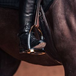 HANSBO SPORT Stigbygel Safety flex, Roséguld