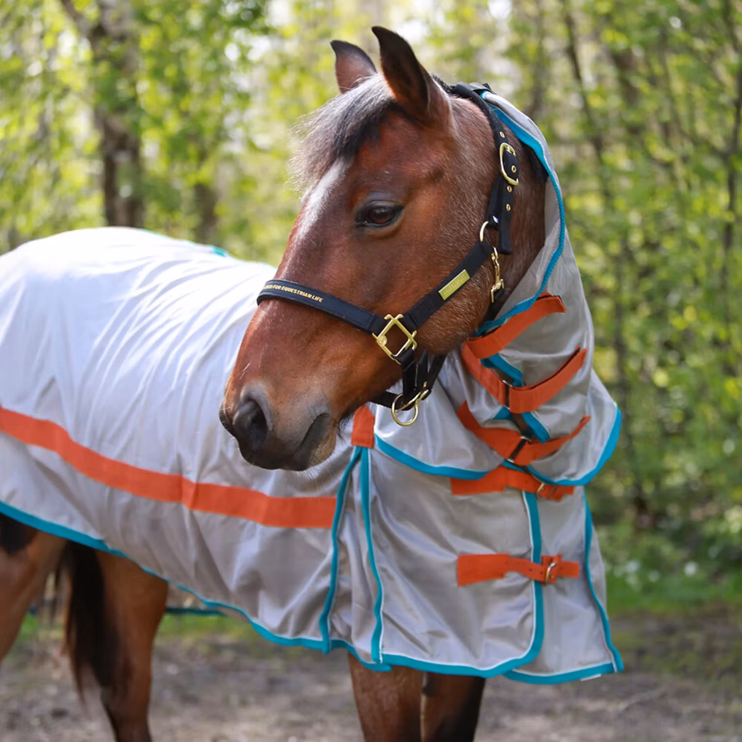 HANSBO SPORT Flugtäcke med hals