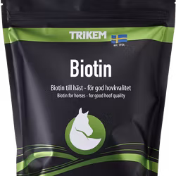 Trikem Biotin 1000g